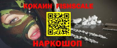 индика Кингисепп