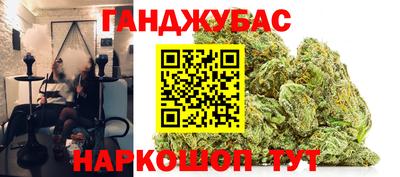 индика Кингисепп