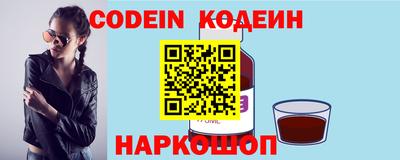 индика Кингисепп