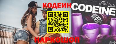 индика Кингисепп