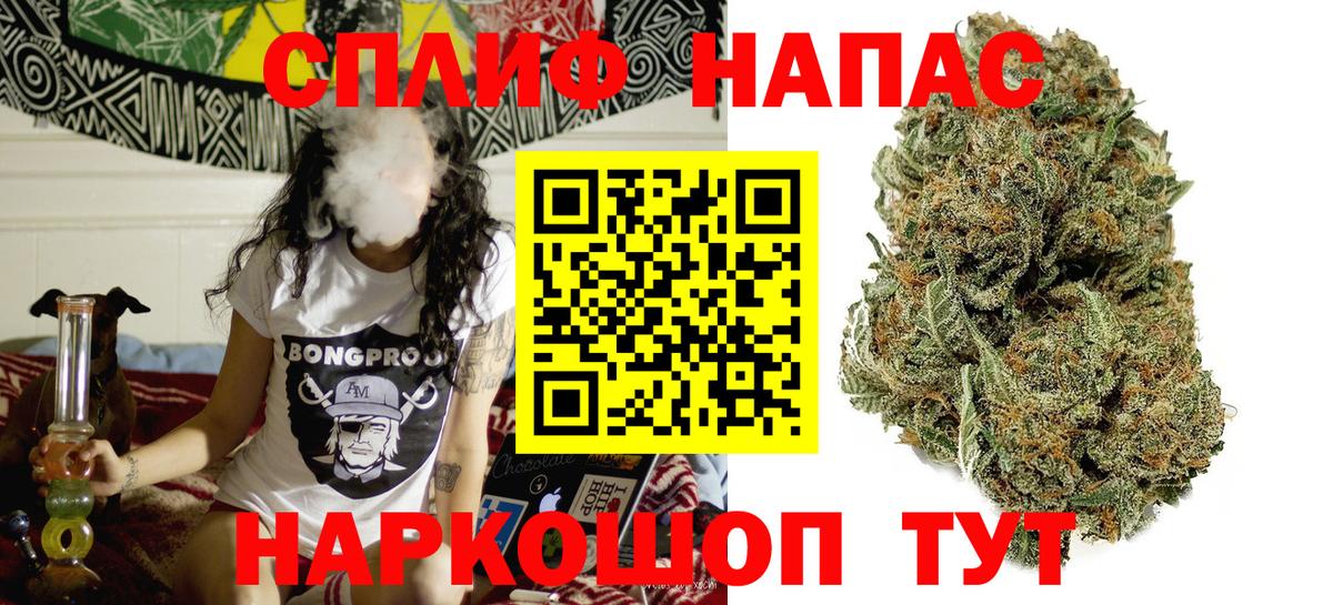Бошки марихуана конопля  Вход с VPN  Марихуана Amnesia  Канабис сатива  Димитровград 